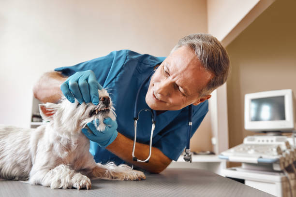 Best Emergency Root Canal Treatment in Ladonia, AL
